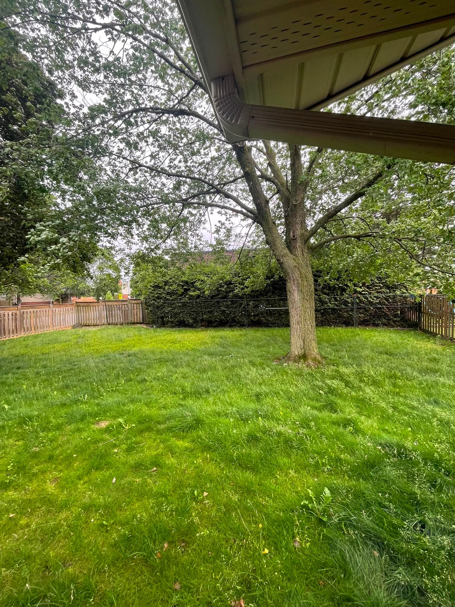 Backyard photo 2 at Ebstad Luxe furnished rental in Waterloo Ontario