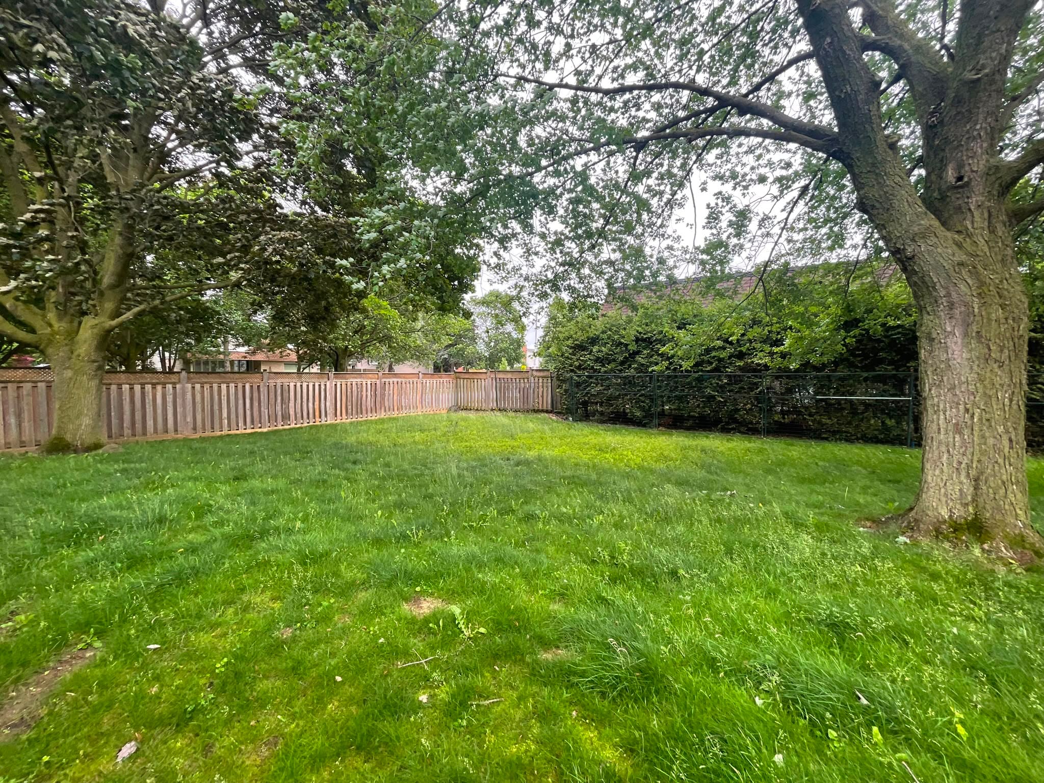Backyard photo 1 at Ebstad Luxe furnished rental in Waterloo Ontario