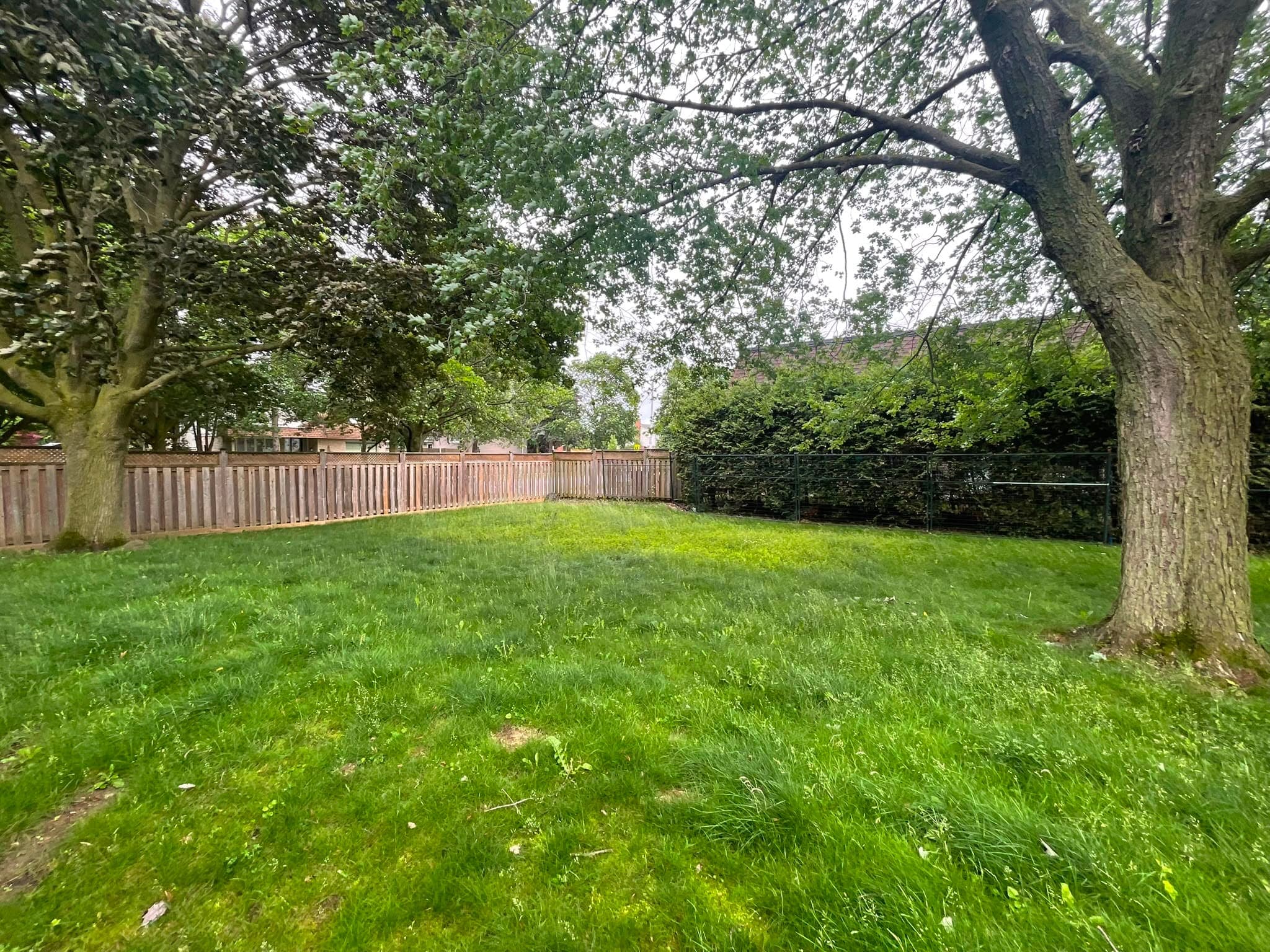 Fenced Backyard Oasis - Outdoor Living at Ebstad Luxe Waterloo